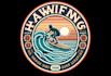 design high quality summer surfing mascot logo