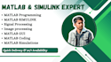 do professional matlab, simulink, gui and image processing