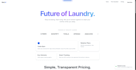 build a professional laundry business custom coded website