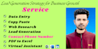 do professional data entry and web research within 24 hours