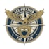 design a professional pilot logo for your brand