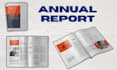 do professional annual report design, annual report layout