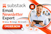 do substack publication branding and design, promote newsletter article
