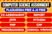 do computer science, software engineering, and algorithms project
