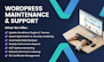 revamp wordpress website monthly maintenance support fix website errors optimize