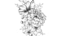 create a beautiful flower tattoo design