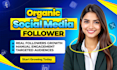 organically increase social media followers