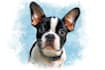 create a magical disney style pet portrait illustration
