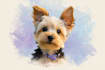 draw your pet in magical disney cartoon style
