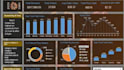 provide professional data analysis and business insights