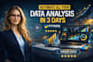 do professional data analysis dashboard and visualization using python