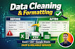 do professional data cleaning data processing excel and database files