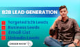 do professional b2b lead generation and targeted linkedin lead generation