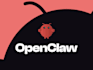 provide openclaw installation and develpment