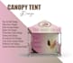 custom professional canopy tent design for your promotions