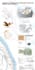 professionally compose your architecture thesis boards and layouts