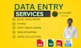 do data entry, copy paste, data scraping, email leads, pdf to excel data entry