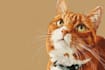 turn your pet into a disney style illustration
