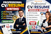 professional CV  resume writing