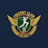 design a dynamic cricket logo for your team or brand