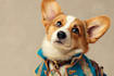 create custom disney inspired pet artwork
