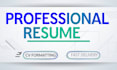 professionally format your resume or CV in word or PDF