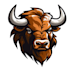 design professional bison logo