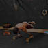 coaching online di calisthenics