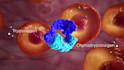 create 3d medical video oncology moa animation 3d pharmaceutical explainer video