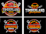 design professional BBQ logo