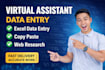 do professional data entry and excel data entry services