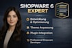 optimize german shopware 5 and 6 onlineshop theme plugin integration bug fix de