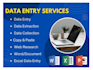 do data entry copy paste work professionally