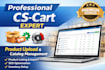 do bulk product upload on cs cart