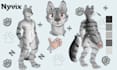 create furry reference sheet furry ref sheet nsfw ref sheet oc anthro character