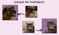draw your pets portrait
