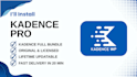 install and set up kadence pro theme and kadence blocks