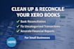 do xero bookkeeping and cleanup