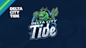 design an awesome delta city tide logo within two days