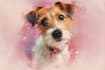 turn your pet into a disney cartoon character