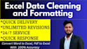excel data cleaning and formatting