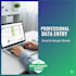 do professional data entry and excel projects