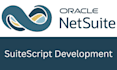 build netsuite customizations using suitescript