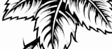 make an awesome custom lettering tattoo design sketch
