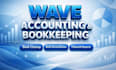 do wave bookkeeping, cleanup, setup and bank reconciliation