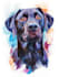 paint dog, cats, whatever pet portrait with watercolor