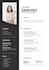 high quality resume and CV template design service