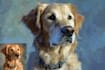 turn your pet into a disney cartoon character
