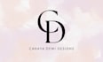 create a professional custom logo design