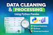 do professional data cleaning using python pandas